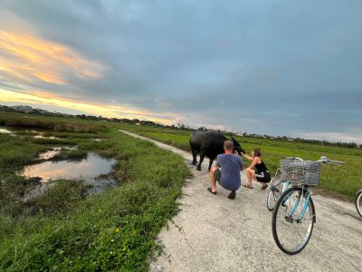 Cycling, Organic Farming, Local Market and Local Food